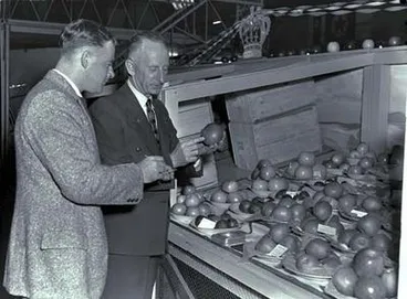 Image: Waikato Winter Show.