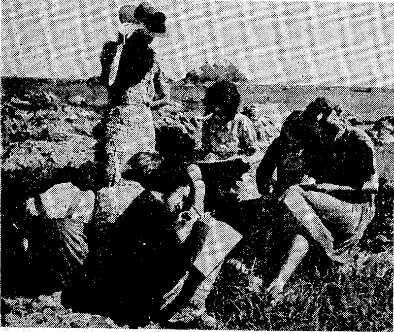Pupils of a standard IV Nature study class from Newtown School at work on the peach at Island Bay. They collect sea shells and after studying them are required to reproduce them in a drawing. (Evening Post, 28 February 1945)
