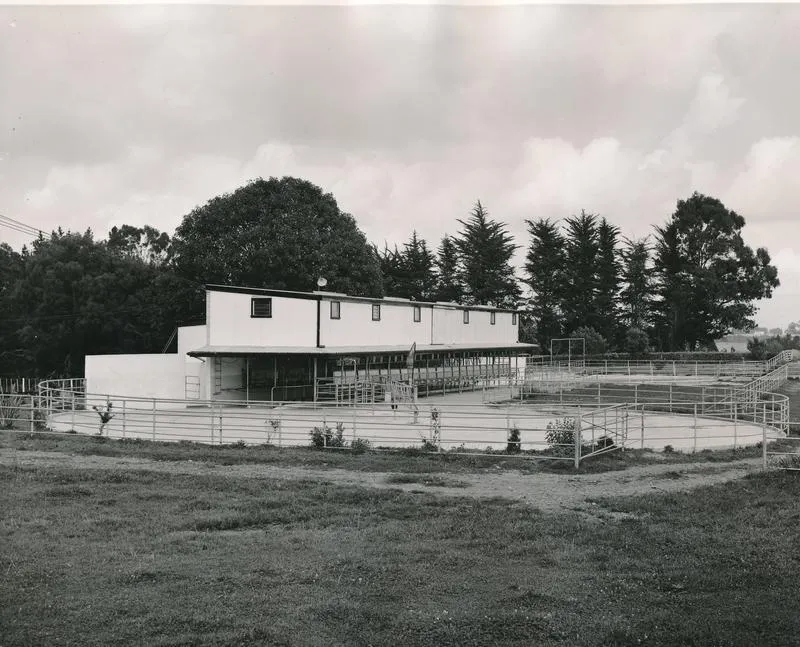 Vibrapac Blocks Ltd: 1966 Waikato - typical small herringbone milking shed