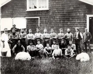 Image: Sheep shearing gang at Ahura