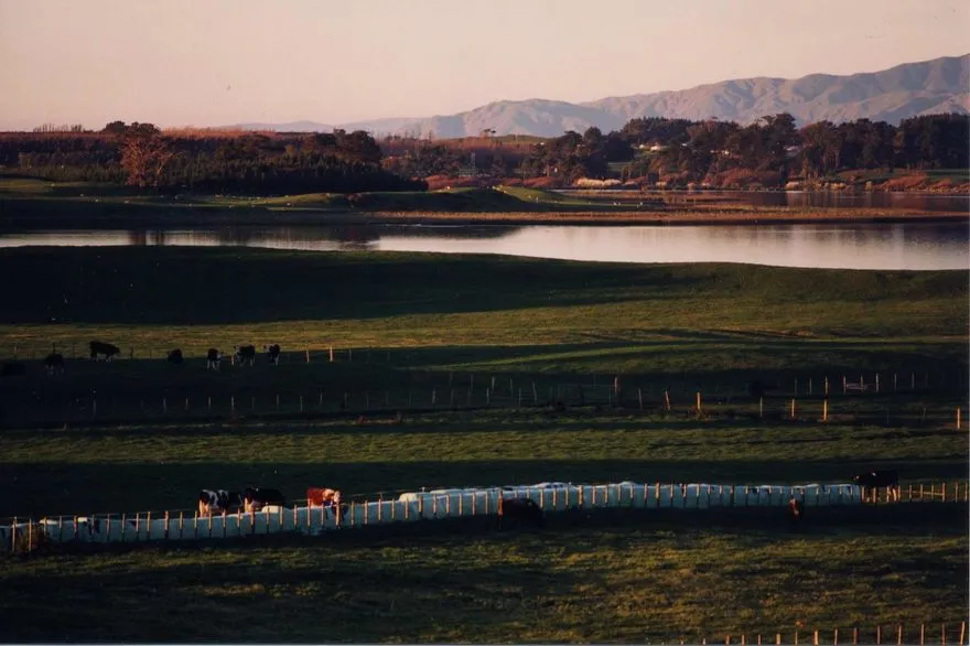 Matthew Stickle's Farm and Lake Horowhenua