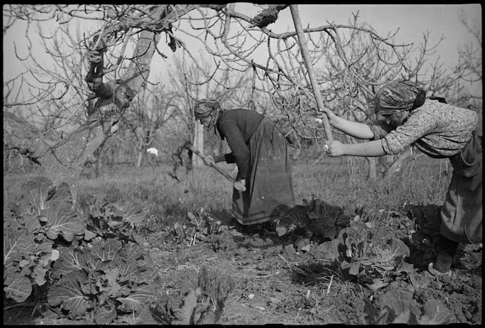 Peasant women at work in their garden near forward area of the Italian Front, World War II - Photograph taken by George Kaye