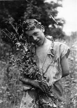 A boy standing in a field of poppies