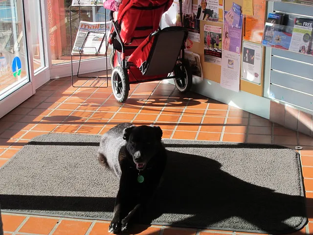 Lyttelton  Library visit
