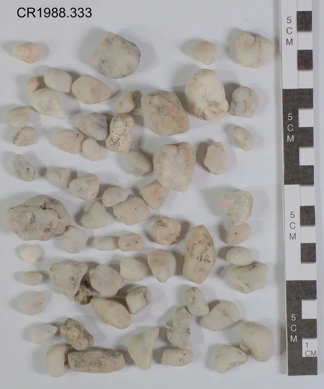 Moa crop or gizzard stones