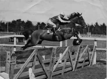 Image: Hurdle Jumper at Foxton Racecourse