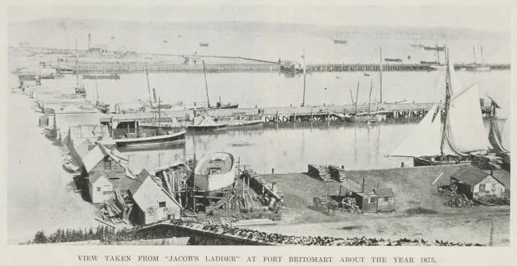 View taken from 'Jacob's Ladder' at Fort Britomart about the year 1875