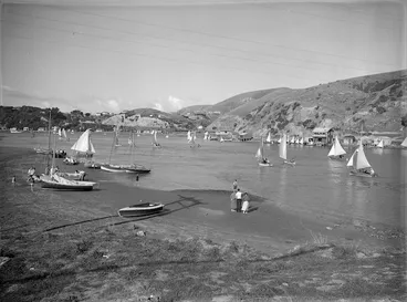 Image: Porirua Harbour