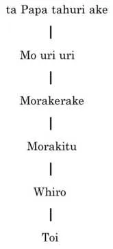 A black and white diagram showing the whakapapa from papa tahuri ake to Toi