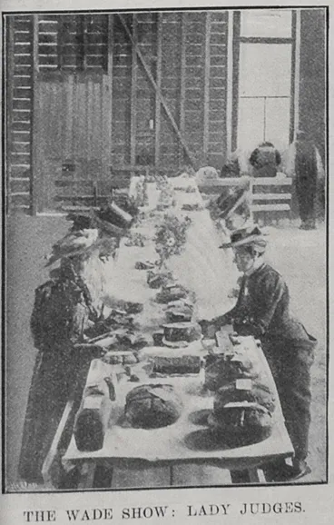 Image: The Wade Show: Lady Judges