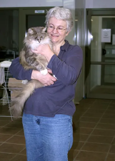 Image: Caring for cats