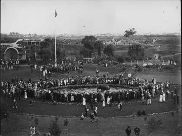 Image: Elephant, Auckland Zoo.
