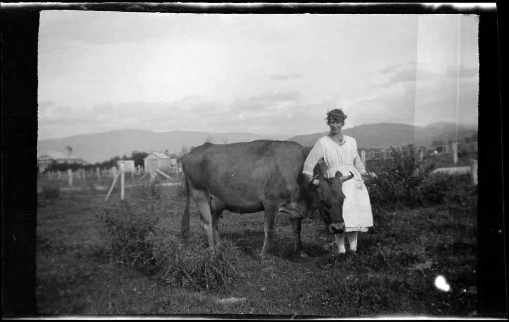 [Woman and cow]