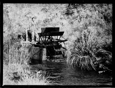 Image: Waterwheel on the Waikato River