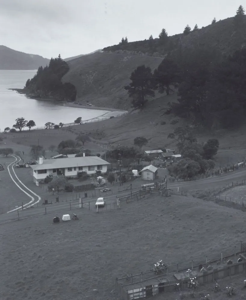 Guard Cove, Cloudy Bay, Port Underwood