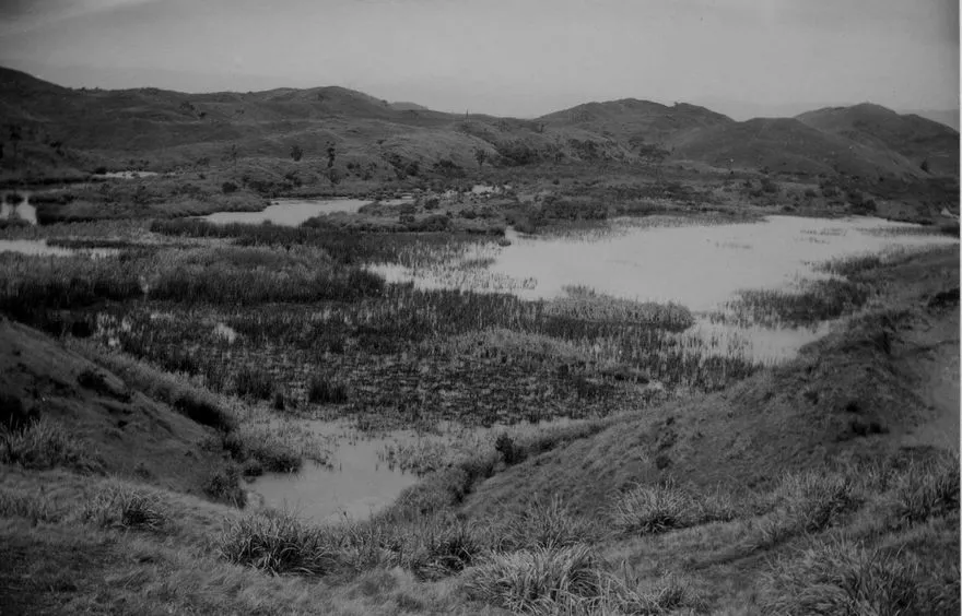 Lagoon and Swamp on Western Side of Lake Horowhenua