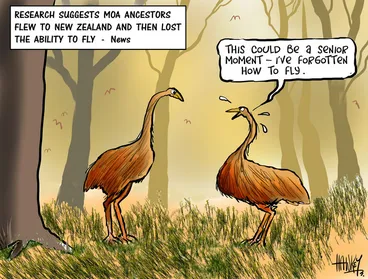 Image: Hawkey, Allan Charles, 1941- :Flightless. 19 May 2014