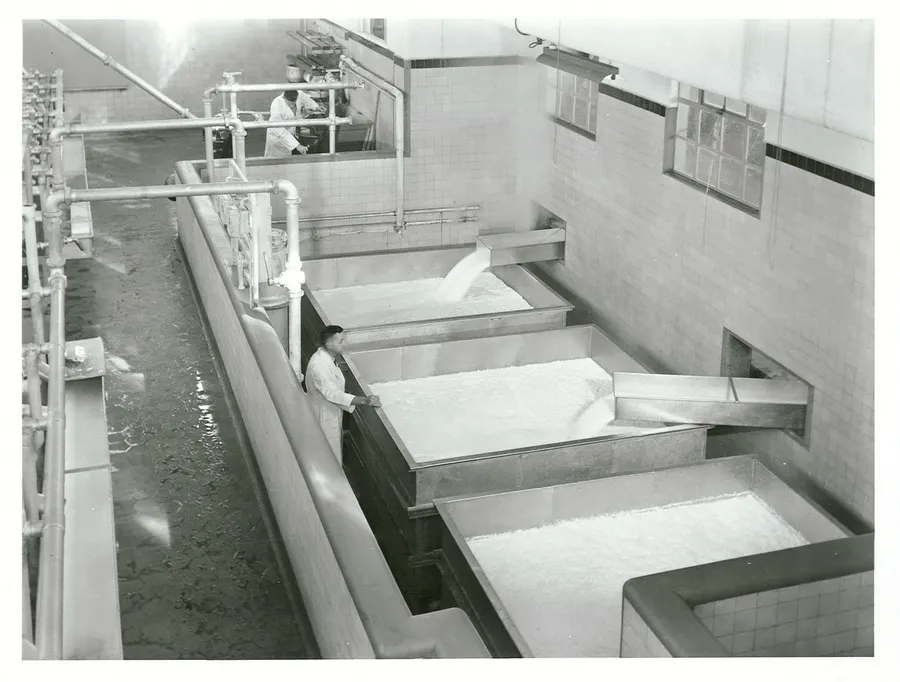 Receiving vats at Waitoa Dehydrated Milk Factory