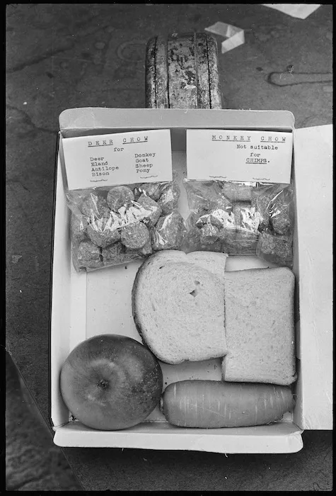 Approved lunch for Zoo feeding, Wellington Zoo, New Zealand