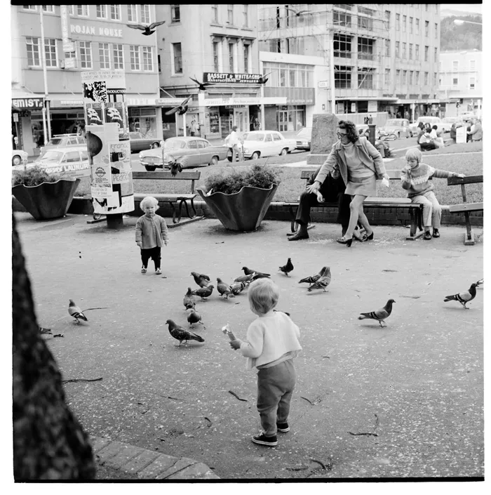 Views in Pigeon Park, Wellington