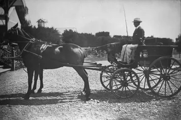Image: J H P Strang in his buggy at 'Woodhey', Te Awe Awe Street