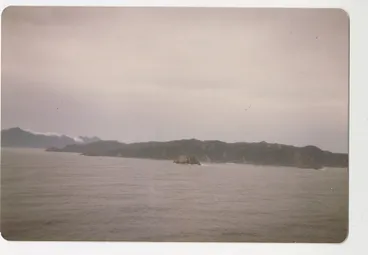 Image: Photograph, Codfish Island
