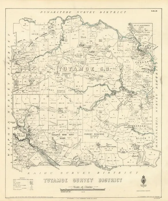 Tutamoe Survey District [electronic resource] / Wm Bardsley, delt.