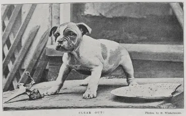 Image: His Christmas Dinner. Clear out!