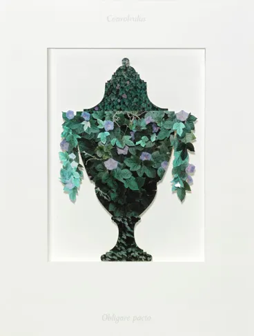 Image: Ossuary IV: Convolvulus (bindweed). Obligare pacto (to bind by covenant)