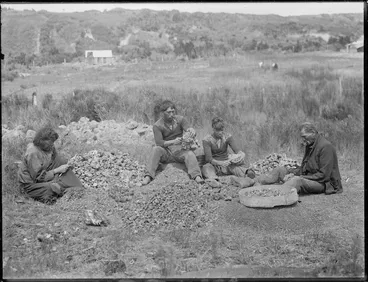 Image: Gum diggers scraping kauri gum, Northland