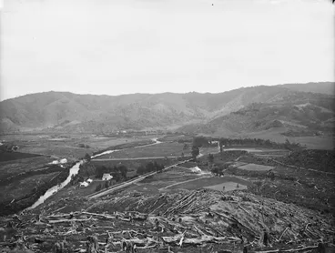Image: Overlooking Wainuiomata