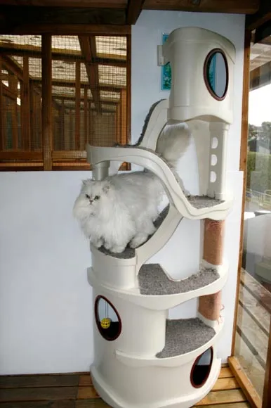 Cattery accommodation