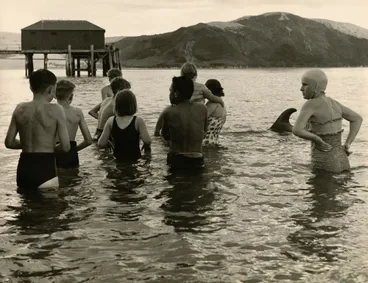 Image: Crowd in the water, Opononi