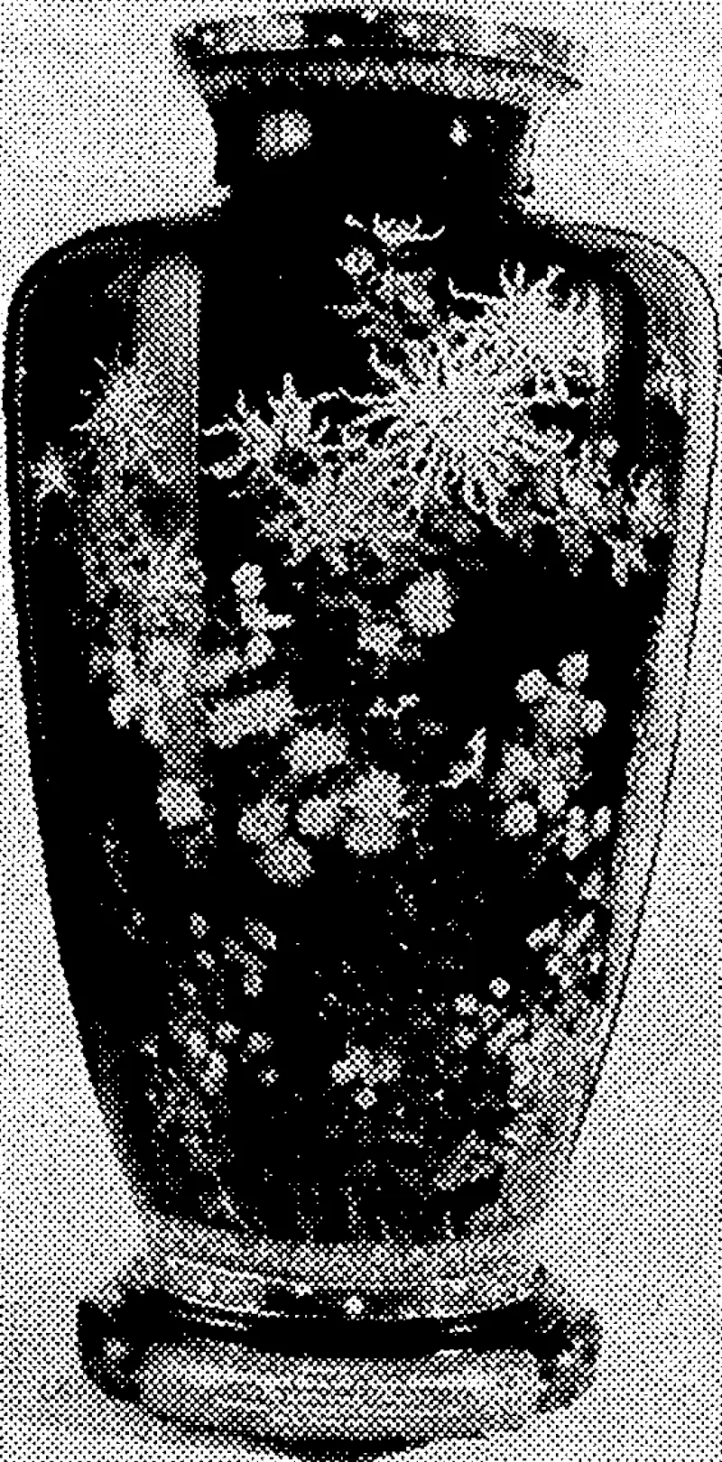 Tivo views of the Japanese cloisonne vase presented to the New Zealand University Rugby football team ivhich visited Japan in 1936. This vase is now in the Dominion , Museum. (Evening Post, 04 March 1937)