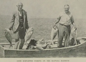 Good schnapper fishing on the Kaipara Harbour Image: Good schnapper fishing on the Kaipara Harbour