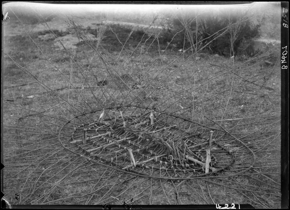 Taruke Koura (Lobster-pot)