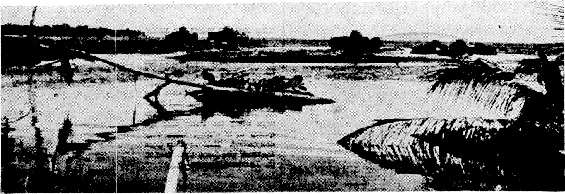 Five enemy tanks smashed and harmless on the sand spit across the mouth of the Matanikau River, Guadalcanal. They were the spearhead of a Japanese thrust against United States marine positions on the right bank of the river, and were knocked out by marine mobile artillery in a night battle. (Evening Post, 07 January 1943)