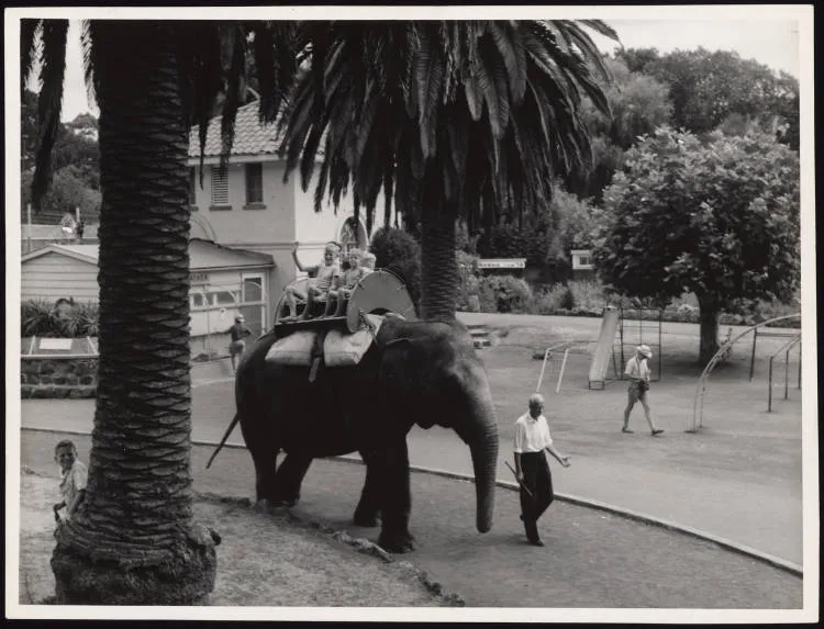 Children riding on an elephant at the Auckland Zoo