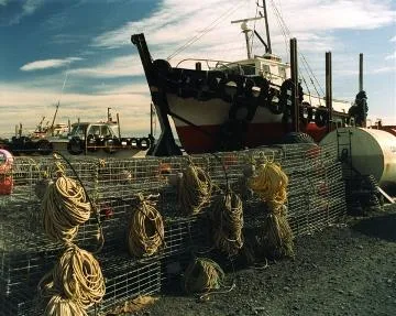 Fishing boats, Ngawi : photograph