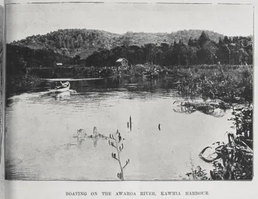 Image: Boating on the Awaroa River, Kawhia Harbour