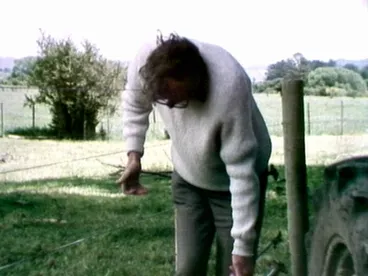 Musical fence Image: Musical fence