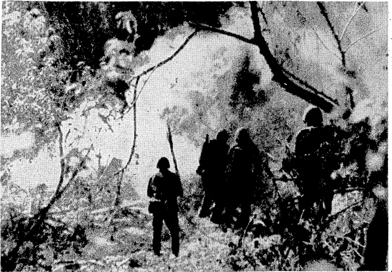 United States marines, engaged in mopping-up operations on Tinian Island, Mariana Islands, send a blast of flame into a Japanese dugout. ■ ■■ ' \ (Evening Post, 29 August 1944)