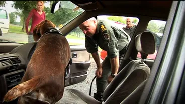 Image: Dog Squad - Series Two, Episode One