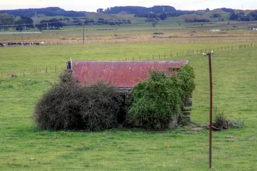 Image: Old house, Manakau, Manawatu, New Zealand