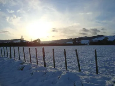 Waking up to snow with sun rising Image: Waking up to snow with sun rising