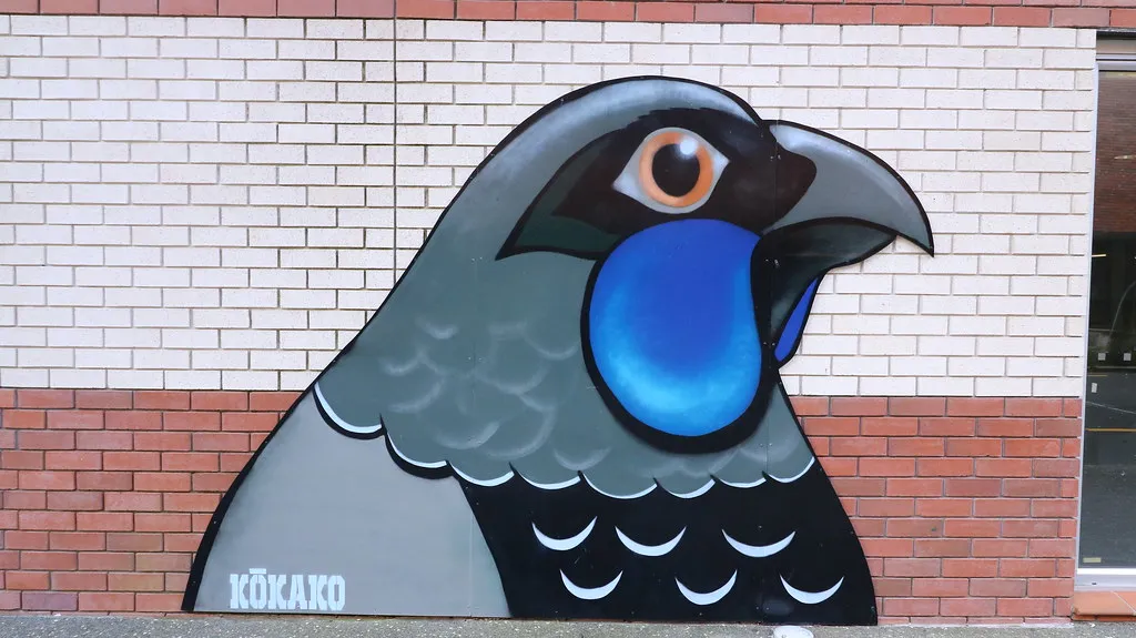 "Kokako"