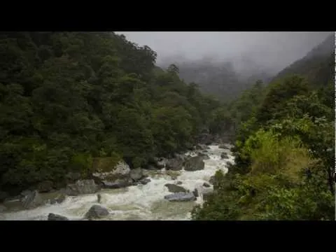 A long road over Haast Pass - Roadside Stories