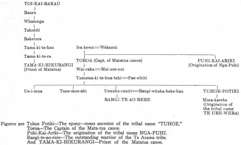 A black and white diagram showing the whakapapa from Toi-kai-rakau to Rangi-te-ao-rere and Tuhoe-Potiki