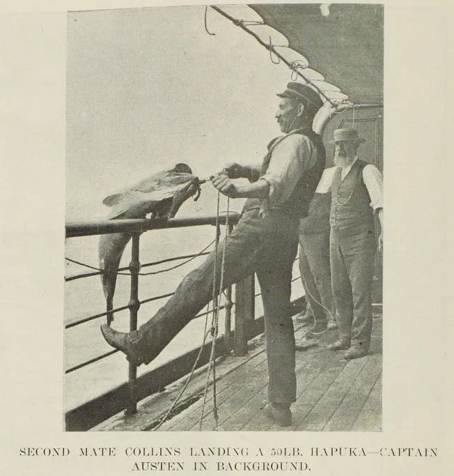 The Northern S.S. Co's Excursion to Kawhia