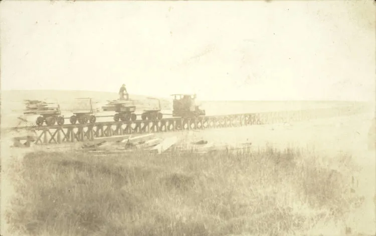 Bush tramway at Piha